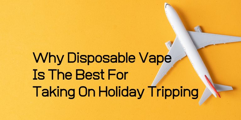 Why Disposable Vape Is The Best For Taking On Holiday Tripping